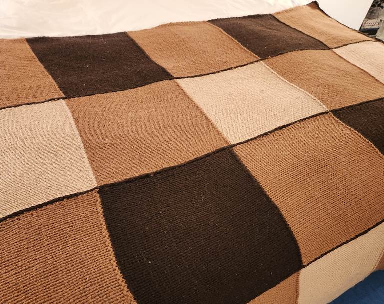 A brown and black checkered pillow

Description automatically generated